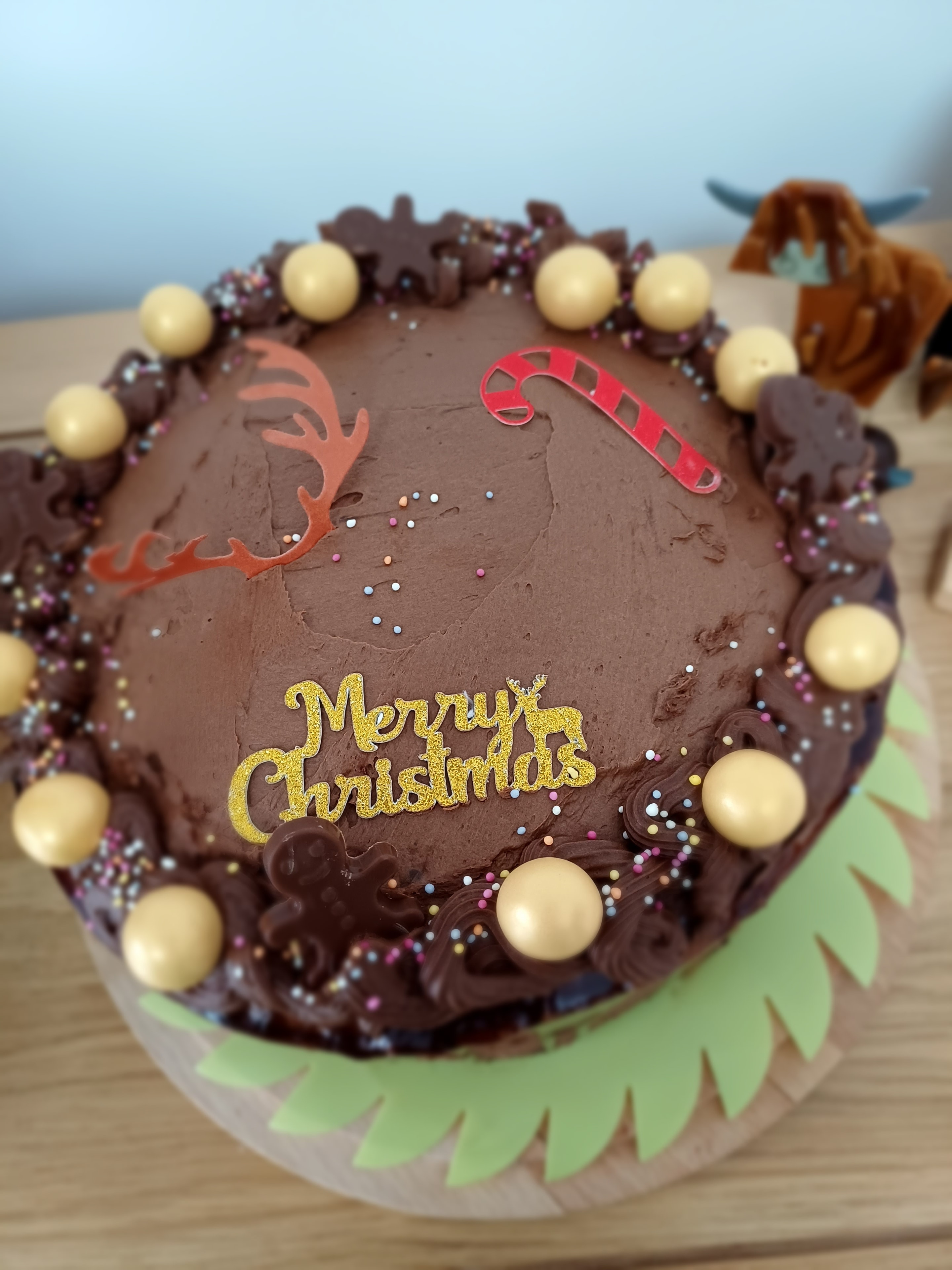 Christmas Chocolate Sponge
